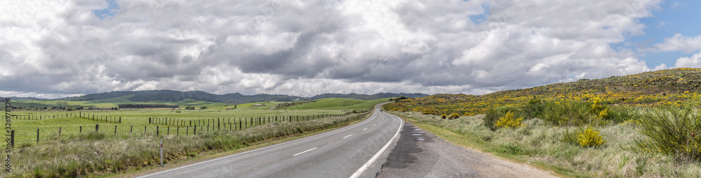 highway 5 bends in lush green hilly countryside with broom shrubs,  near Iwitahi, Bay of Plenty, New Zealand