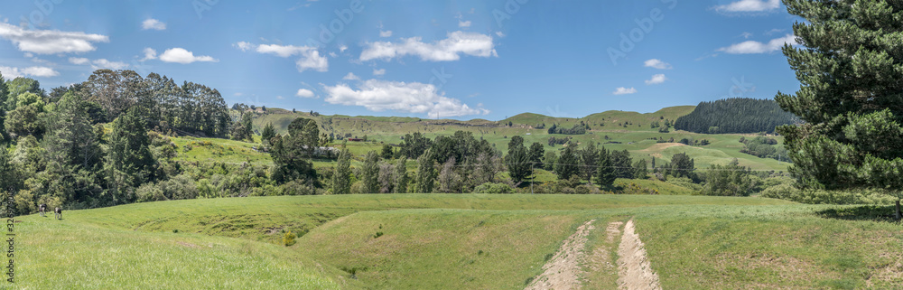 green mild slopes in hilly countryside,  near Te Pohue,  Hawkes Bay, New Zealand