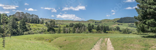 green mild slopes in hilly countryside, near Te Pohue, Hawkes Bay, New Zealand