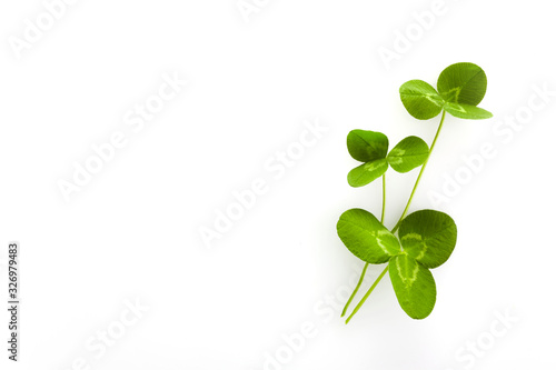 Naklejka Spring floral background. Clover leaf symbol. Holiday background. Saint patrick day