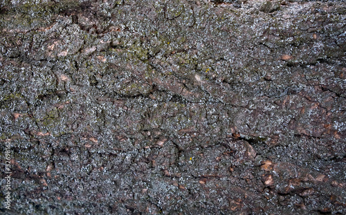 Тexture of tree bark, green leaves, granite stones for background and creativity