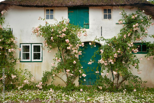 Friesenhaus photo