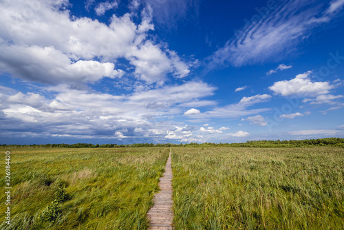 Wooden tourist walkway called Dluga Luka on a Lawki swamps in Biebrza National Park, Podlasie region of Poland photo