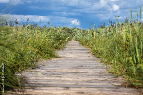 Wooden walkway called Dluga Luka on a Lawki swamps in Biebrza National Park, Podlasie region of Poland