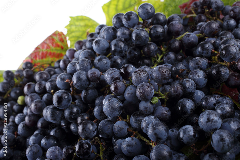 Wine grape on autumn leaves background Wine grape on autumn leaves background