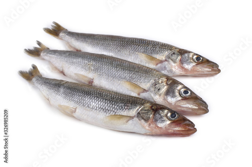 Smelt fish isolated on white. (Big Pacific smelt - Osmerus mordax)