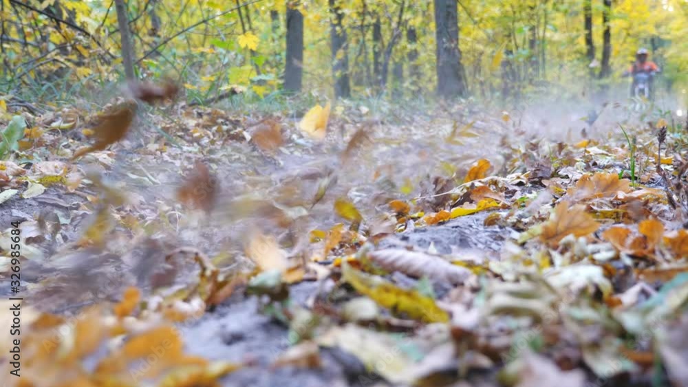 Two motorcyclists riding fast on their motorbikes through autumn forest. Friends having active rest outdoor driving powerful motorcycles. Bikers enjoying trip. Extreme sport concept. Low view Two motorcyclists riding fast on their motorbikes through autumn forest. Friends having active rest outdoor driving powerful motorcycles. Bikers enjoying trip. Extreme sport concept. Low view