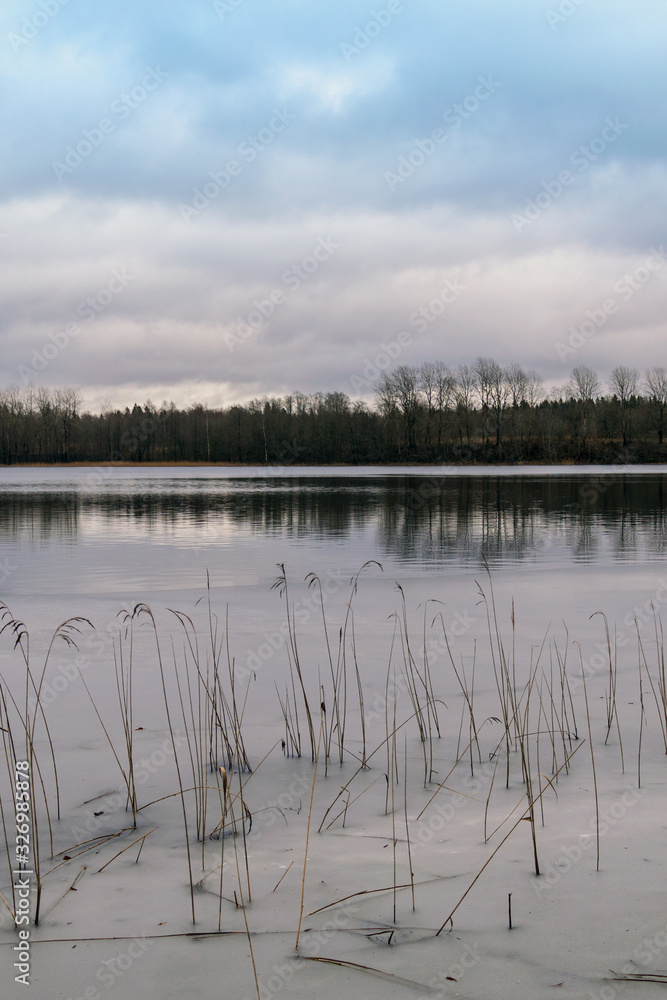 Fototapeta premium Forest Lake begins to become covered with ice.