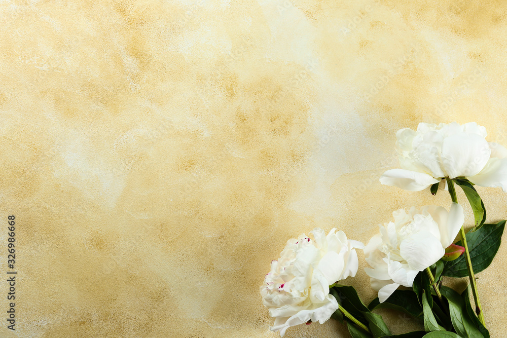 Beautiful peony flowers closeup over textured background with a lot of copy space for text. International women's mother's valentine's first spring day. Close up, top view, backdrop, flat lay. Beautiful peony flowers closeup over textured background with a lot of copy space for text. International women's mother's valentine's first spring day. Close up, top view, backdrop, flat lay.