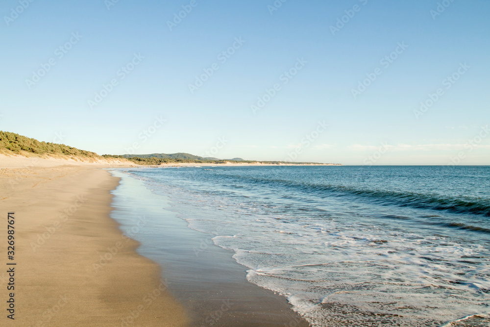 Sandy beach with dunes Sandy beach with dunes