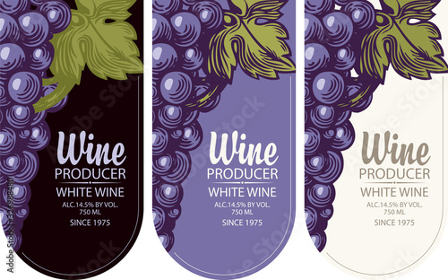 Set of vertical wine labels or banners with grapes and inscriptions in a figured frame. Wine collection premium quality, flat vector illustration