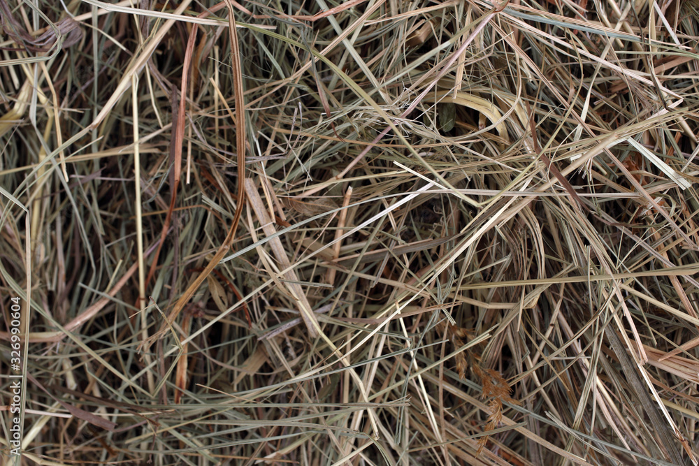 Hay. Agricultural background. Dried grasses