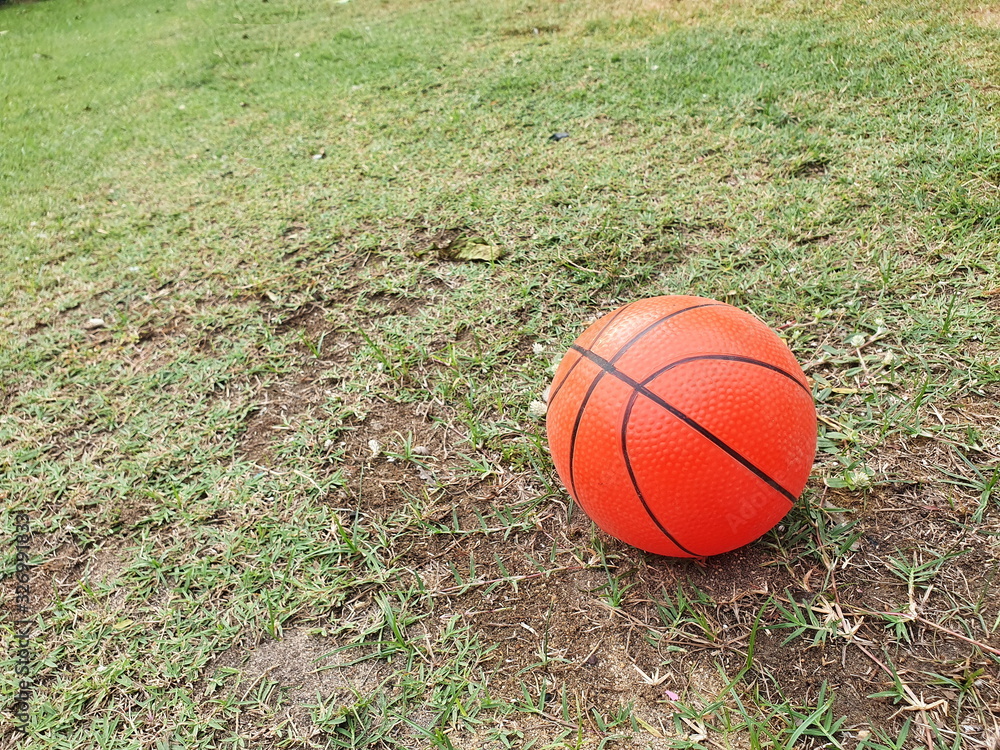 A small basketball on the green grass The orange ball has been forgotten in the park. A small basketball on the green grass The orange ball has been forgotten in the park.
