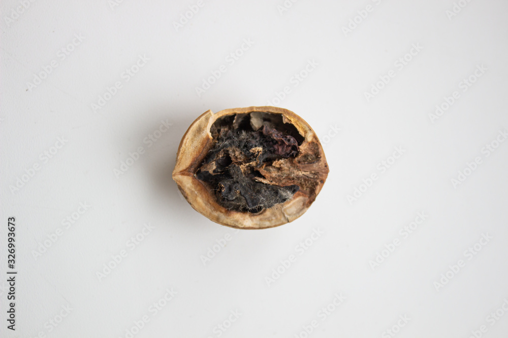 Close-up of infected walnut besides an healthy one. Close-up of infected walnut besides an healthy one.