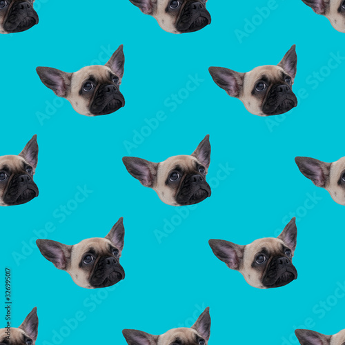 Fan art.Seamless pattern..The funny face of the dog is symmetrical.Minimal style..The press on fabric, t-shirts, posters, cards