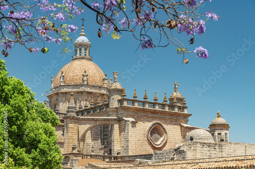 A beautiful view of the Cathedral from the Moorish Alcazar and a branch of flowering jacaranda against a bright blue sky. Jerez de la Frontera, Andalusia, Spain