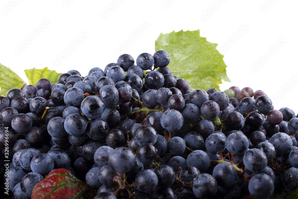 Fototapeta premium Wine grape on autumn leaves background