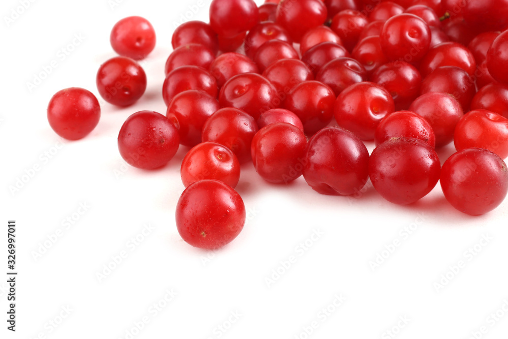Nanking cherry isolated on white Nanking cherry isolated on white