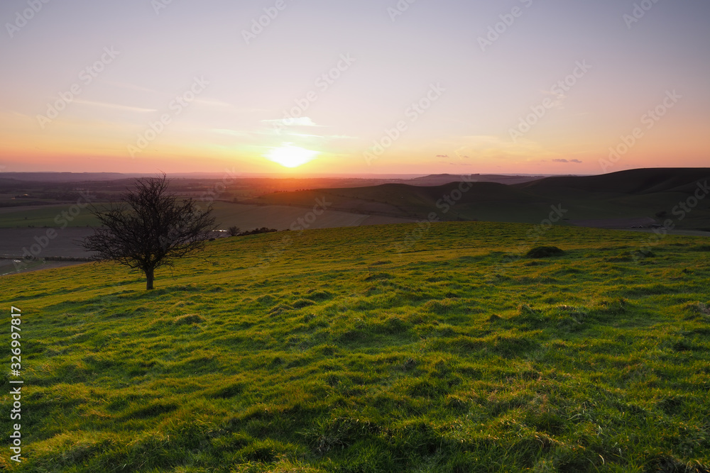 Sunset from the top of Milk Hill, the highest point in Wiltshire, with lone tree looking across the Vale of Pewsey and Salisbury Plain, North Wessex Downs, UK