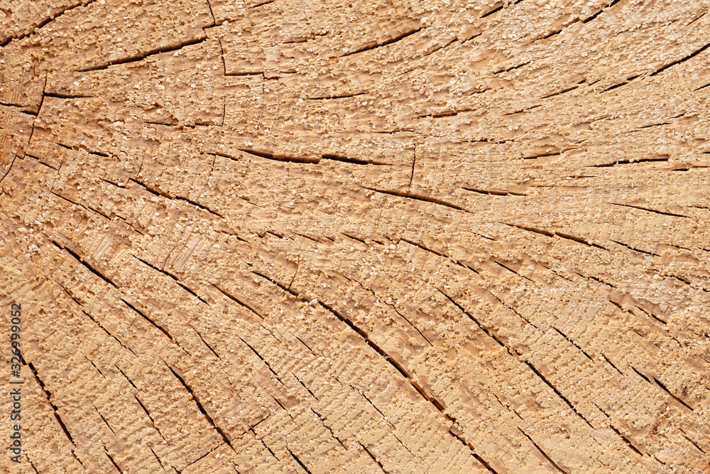 Fototapeta premium Abstract background like slice of wood timber natural.