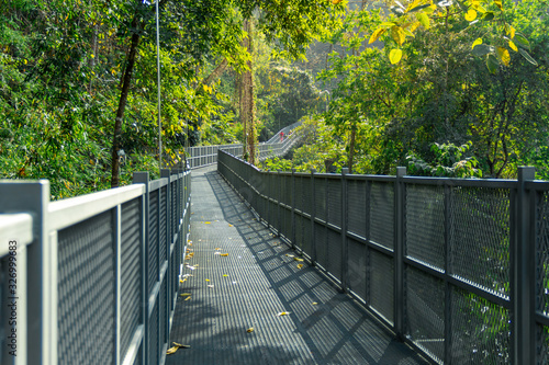 Canopy Walkway at Queen Sirikit Botanic Garden, Mae Rim-Sa Moeng Rd, Mae Rim, Chiang Mai, Thailand.