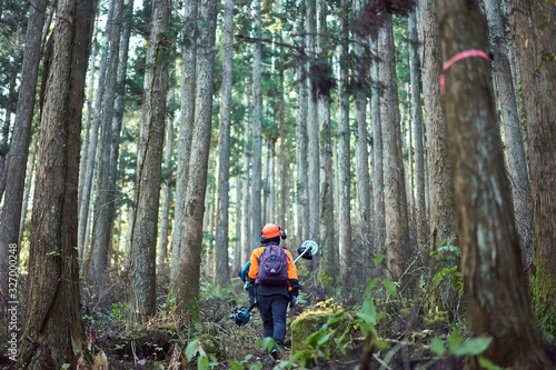 林業、森林で働く女性労働者