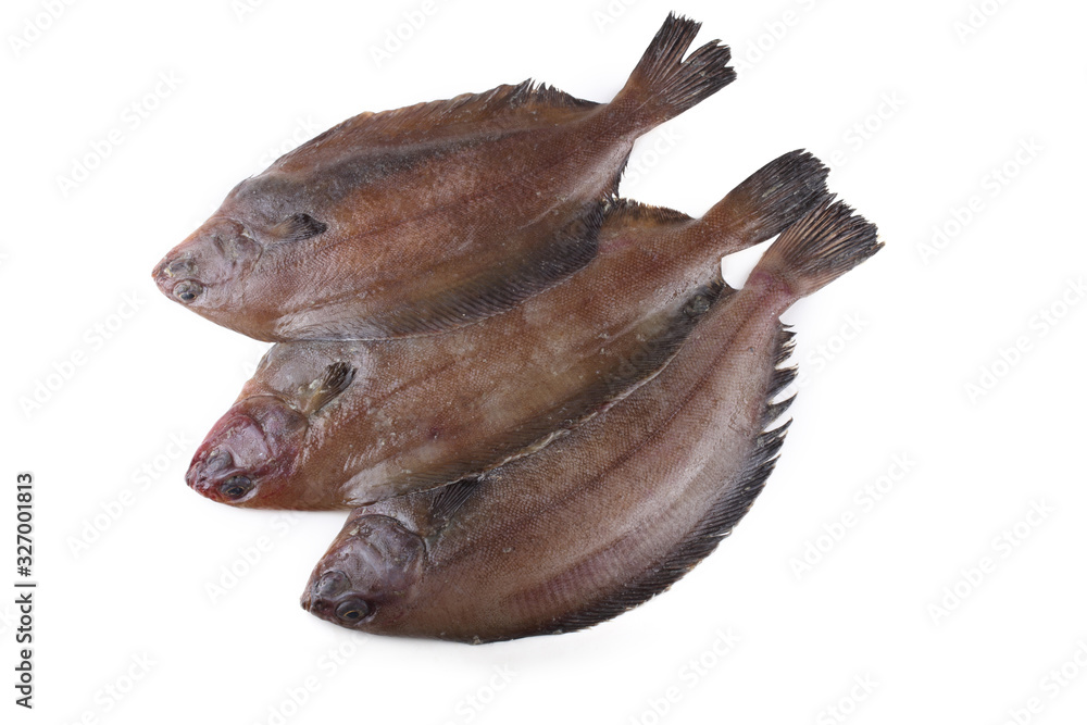 Korean flounder isolated on white Korean flounder isolated on white