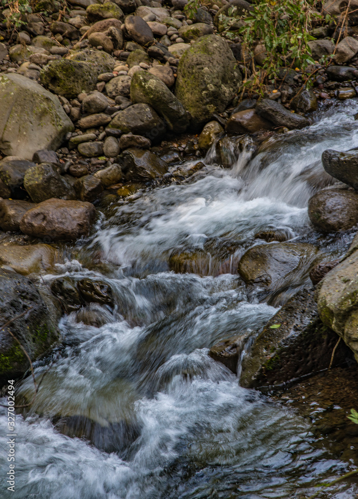 Fototapeta premium Stream , Maui
