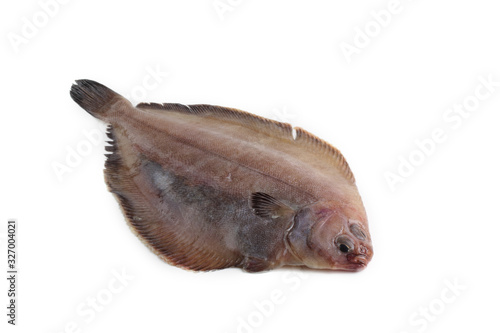 Korean flounder