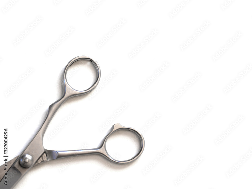 Professional hairdresser Scissors isolated on white background Professional hairdresser Scissors isolated on white background