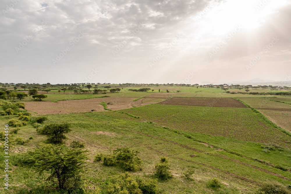 Farmland in rural Ethiopia