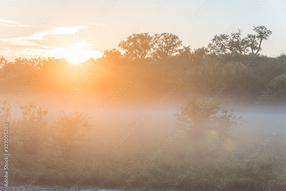 Beautiful sun rays over urban natural park trail near Dallas, Texas, USA Beautiful sun rays over urban natural park trail near Dallas, Texas, USA