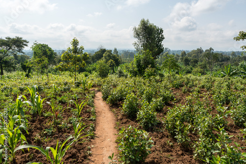 Farmland in rural Ethiopia