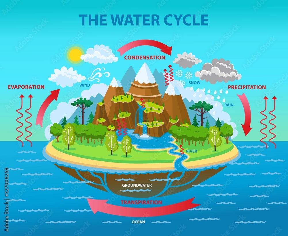 The water cycle. Vector cartoon illustration. Stock Vector | Adobe Stock