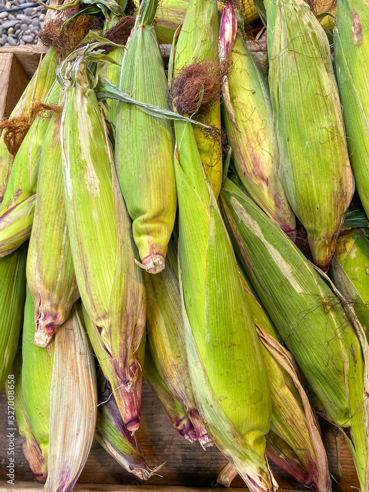 Fresh raw sweet corn in green peel. Fresh raw sweet corn in green peel.