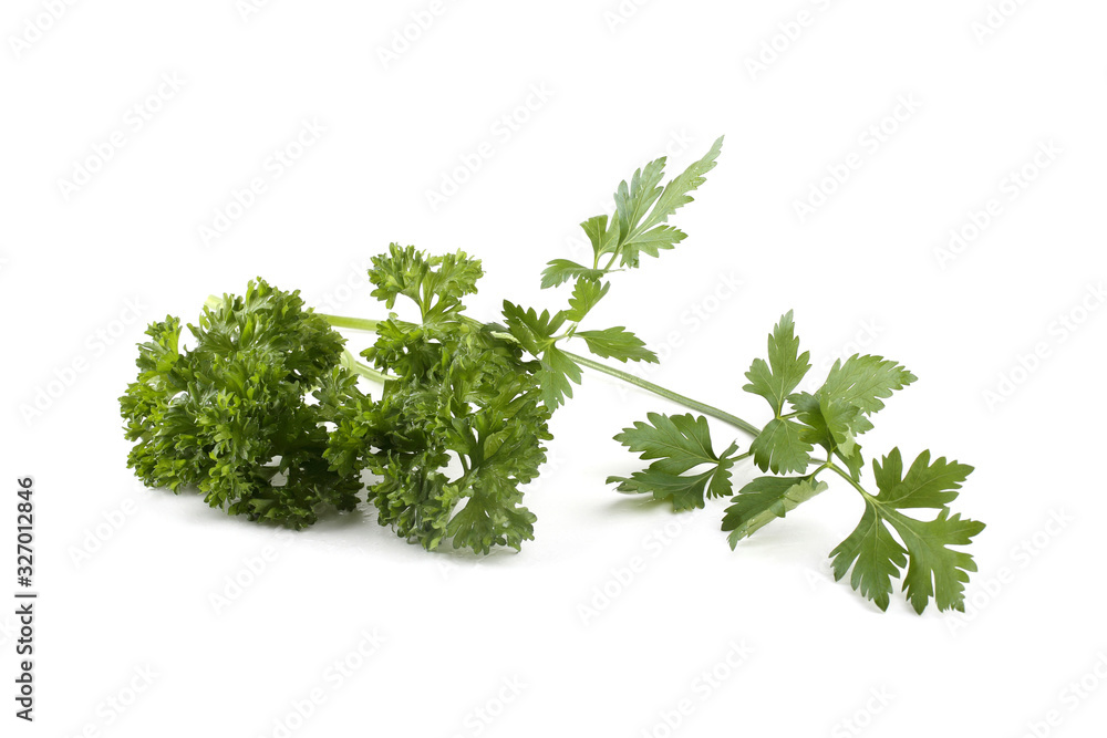 Parsley isolated on white Parsley isolated on white
