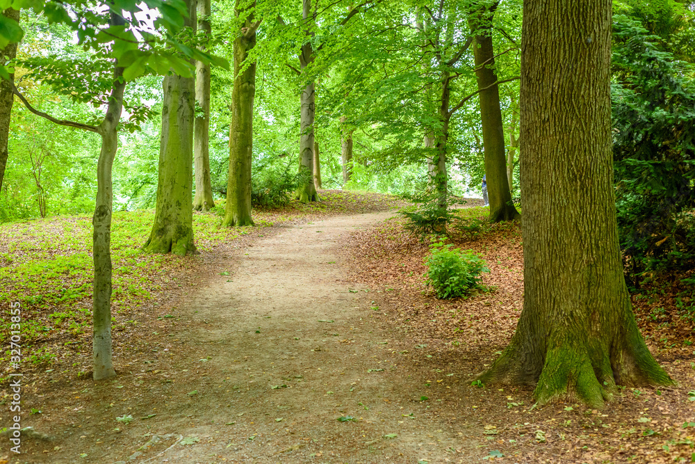 Obraz premium Majestic Park in Munich, Germany.