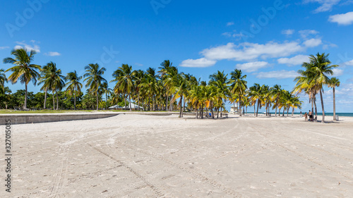 Fototapeta Naklejka Na Ścianę i Meble -  Key Biscayne Beach Palm trees in Florida