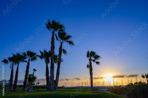 View on evergreen grass field on large golf course and yacht club marina on Tenerife island, Canary, Spain