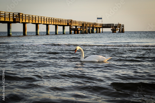 pier at sunset