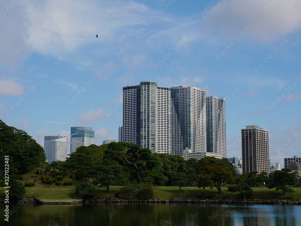 Tokyo lake and bird Tokyo lake and bird