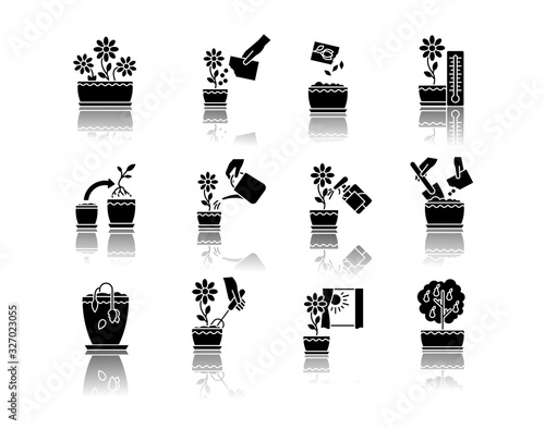 Houseplant care drop shadow black glyph icons set. Indoor gardening steps. Repotting, spraying plants. Planting flower seeds. Watering, fertilizing. Isolated vector illustrations on white space