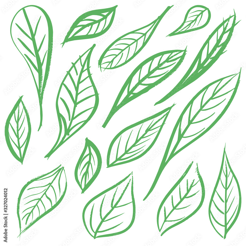 Naklejka premium Leafs