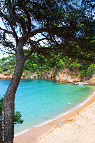 Fototapeta Naklejka Na Ścianę i Meble -  paesaggio marino della splendida baia di Aiguablava sulla Costa Brava a Begur, Girona Spagna