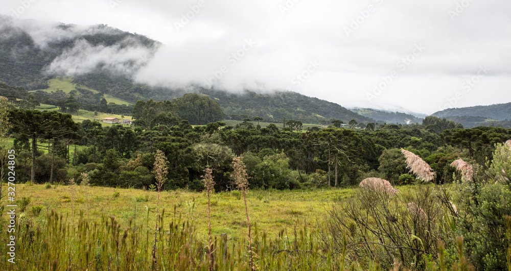 Paisagem rural Paisagem rural