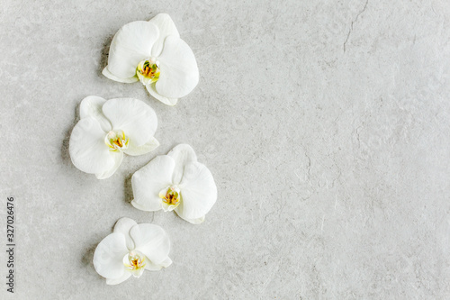 Beautiful tropical orchid flowers on marble grey background. Flat lay  top view
