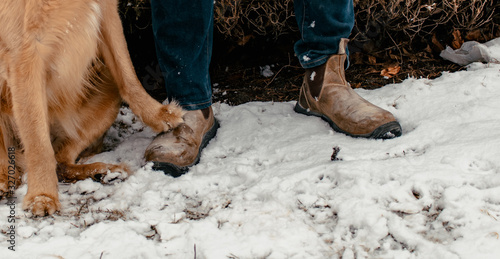 Golden Retriever paw on man’s boot