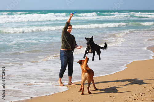 Teenage girl playing with her dogs on the beach