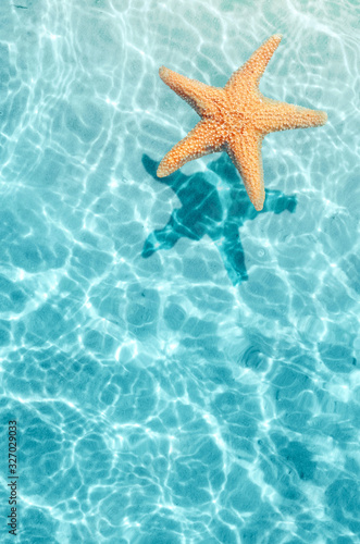 Starfish on the summer beach in sea water. Summer background.