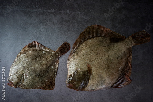 Fresh fish flounder on a dark background photo